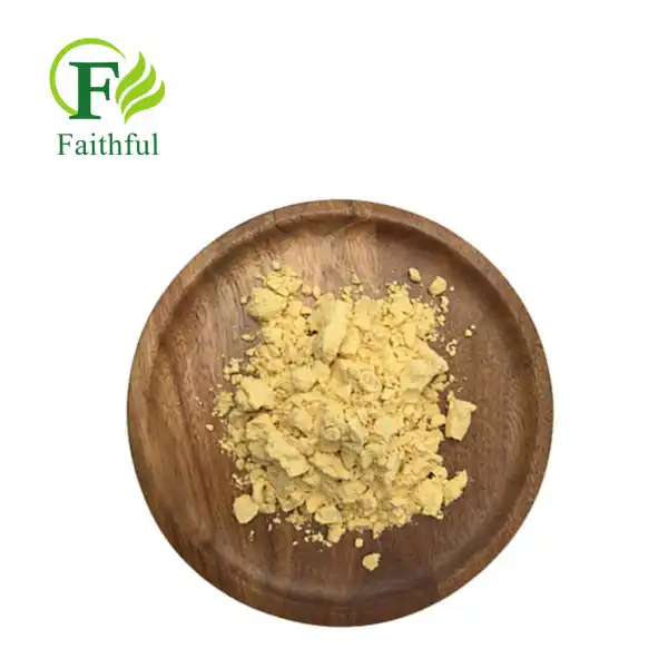 Coenzyme Q10 Powder: Nature's Secret Antioxidant Weapon?